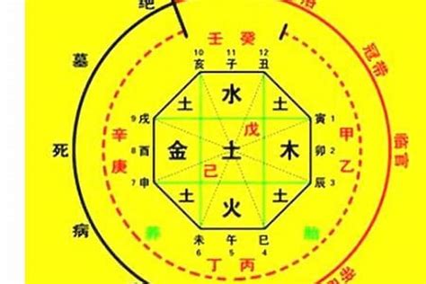 易天行知命網|生辰八字算命、五行喜用神查询（免费测算）